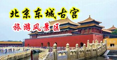 老逼老屌中国北京-东城古宫旅游风景区